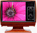 TV MODEM